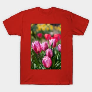 Tulips in my garden T-Shirt